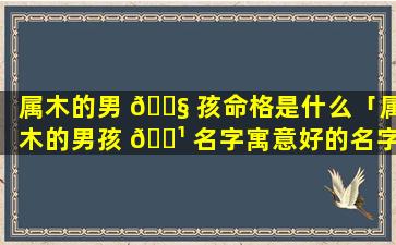 属木的男 🐧 孩命格是什么「属木的男孩 🌹 名字寓意好的名字」